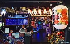 お台場スナップ