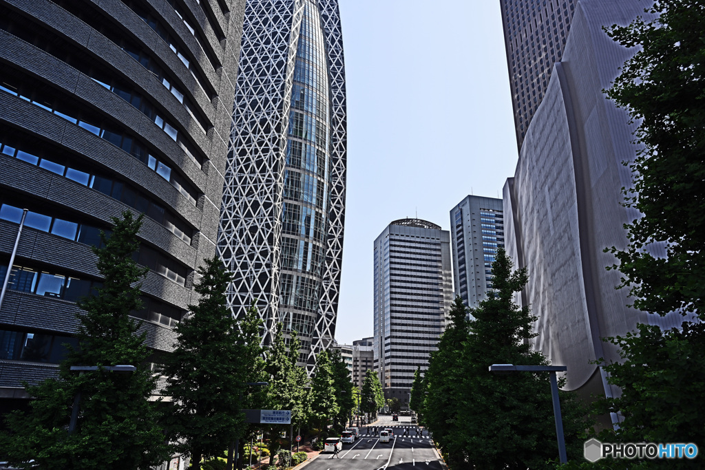 散歩の途中で