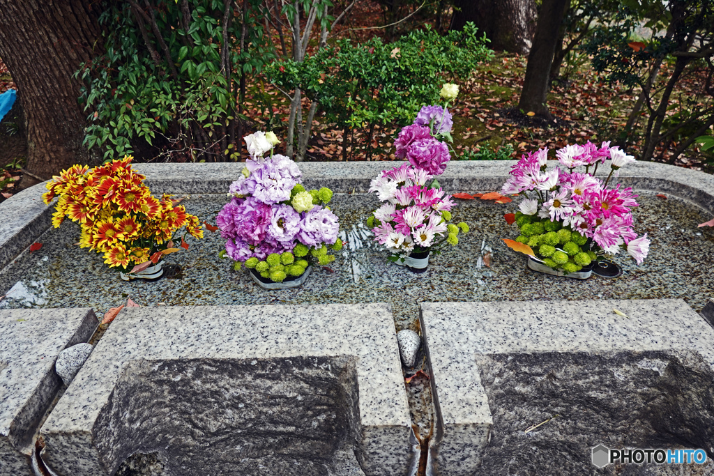 千鳥ヶ淵墓苑にて