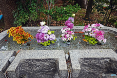 千鳥ヶ淵墓苑にて