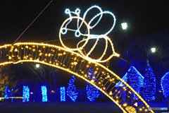 アメリカ山のイルミネーション