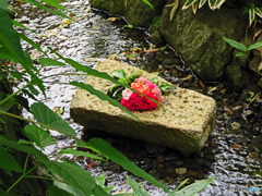 一条恵観山荘　　庭園の部