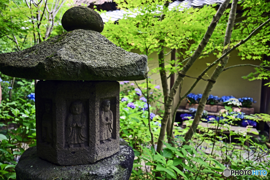 一条恵観山荘　庭園の部