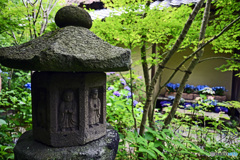 一条恵観山荘　庭園の部