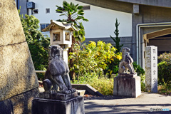 九段坂のそばで