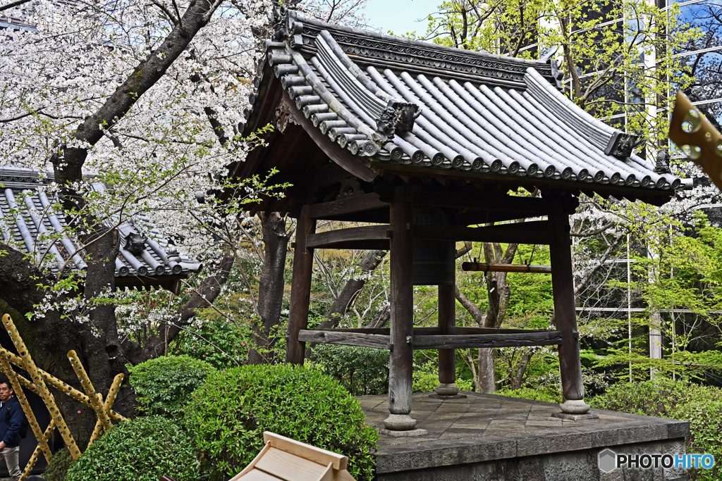 高輪日本庭園