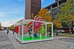 行幸通りスナップ