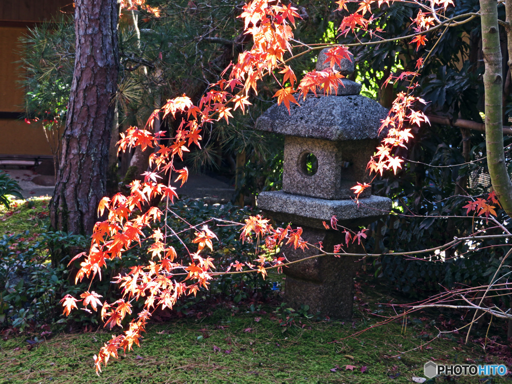 秋の一条恵観山荘