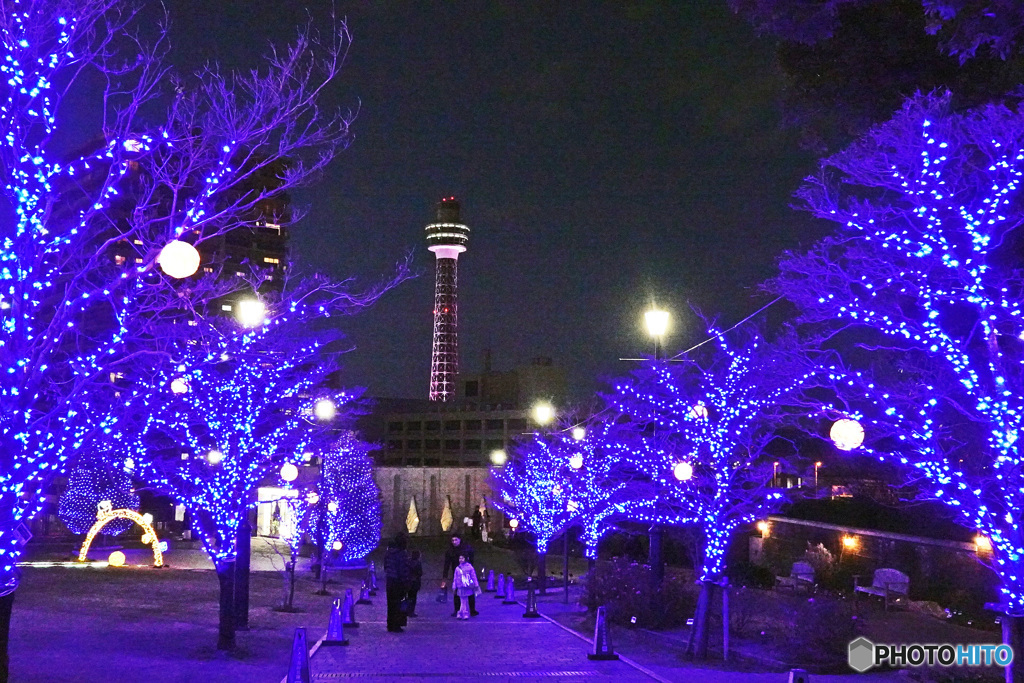 アメリカ山のイルミネーション