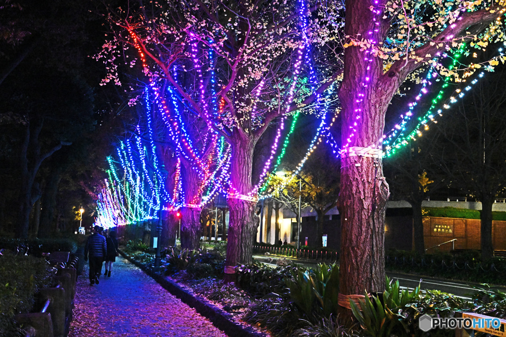 山下公園イルミネーション