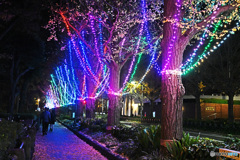山下公園イルミネーション