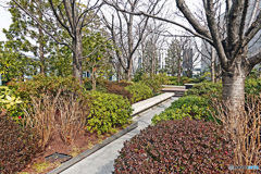 銀座シックスの屋上庭園