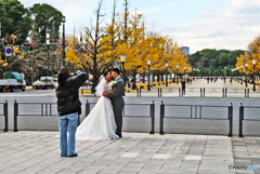 行幸通りスナップ