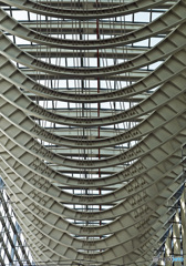 国際フォーラム