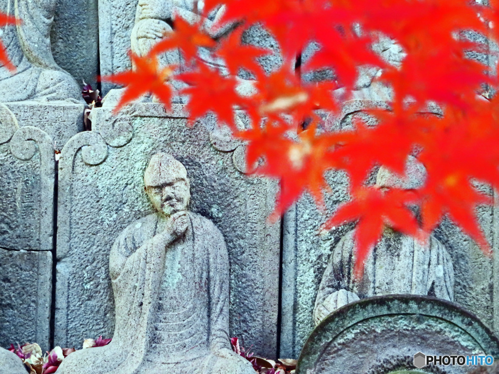 晩秋の頃