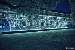 ブルーライトヨコハマ