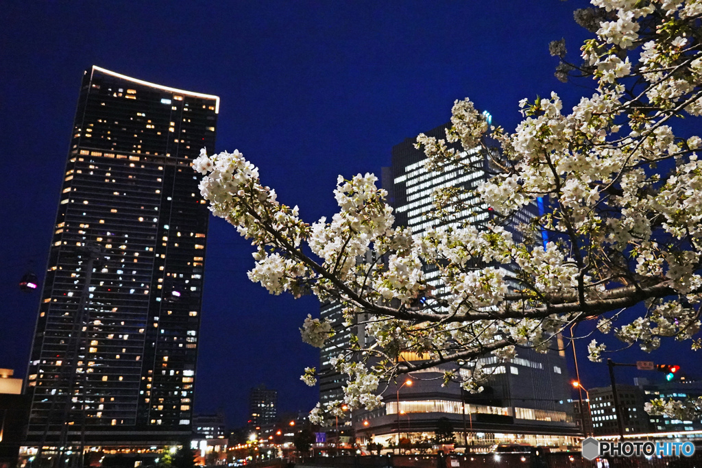 夜の桜木町駅前