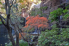 ホテル雅叙園東京