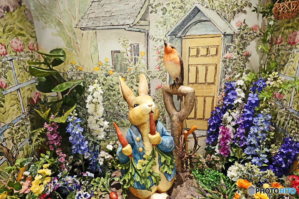 ウインドディスプレイ