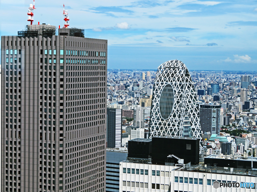 展望室からの眺め