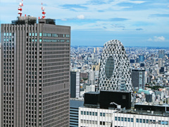 展望室からの眺め