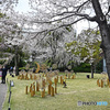 高輪日本庭園