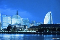 ブルーライトヨコハマ