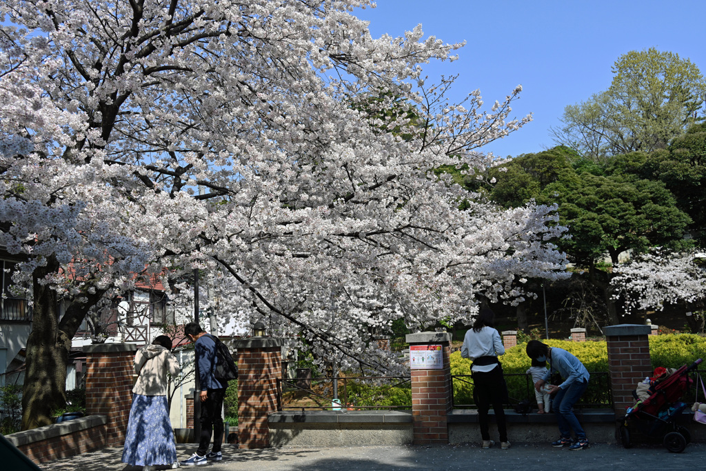 元町公園入口