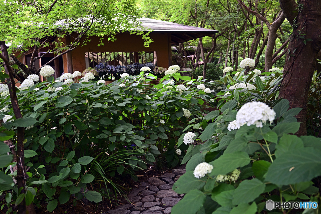 一条恵観山荘　庭園の部
