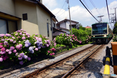 お馴染みの場所です