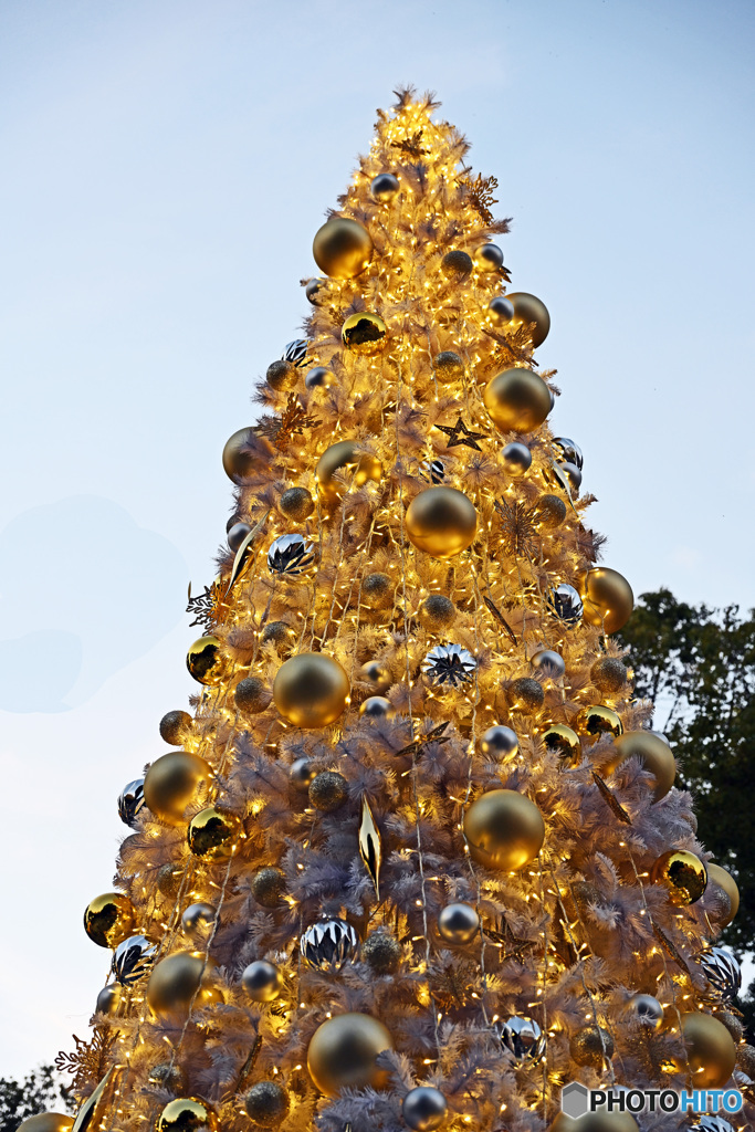 ハマスタイベント