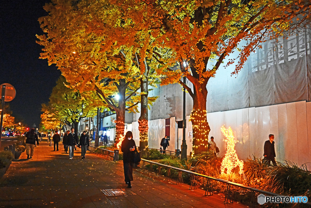 大通り公園