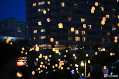 山下公園で横浜七夕祭り