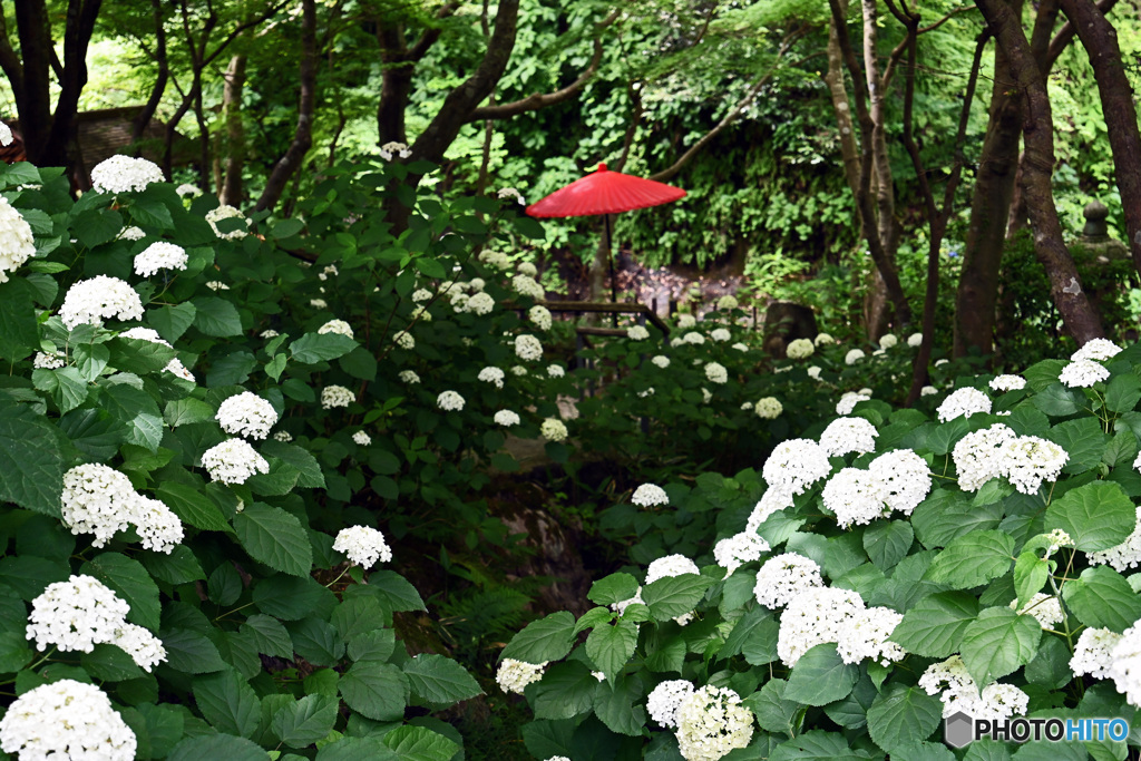 赤い傘のある風景1