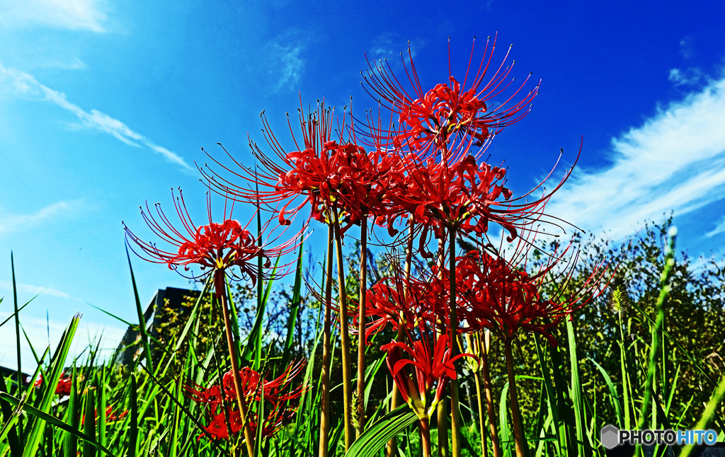 秋の気配が・・・