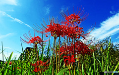 秋の気配が・・・