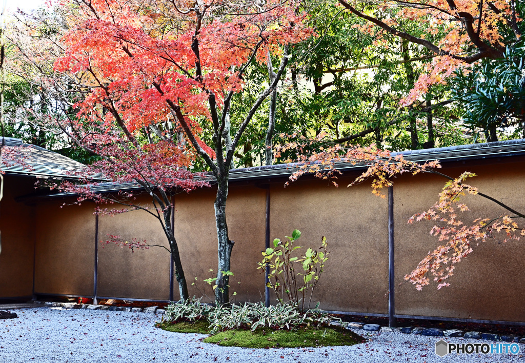 秋の一条恵観山荘