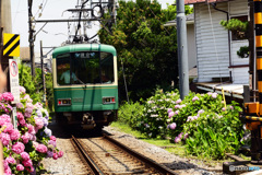 お馴染みの場所です