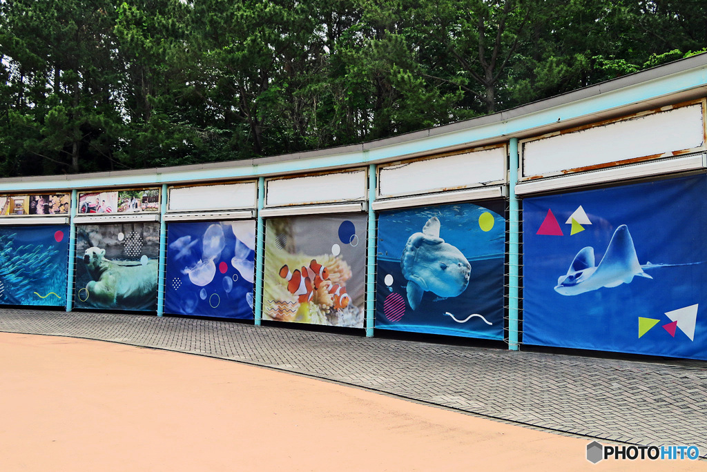 八景島シーパラダイス入口付近