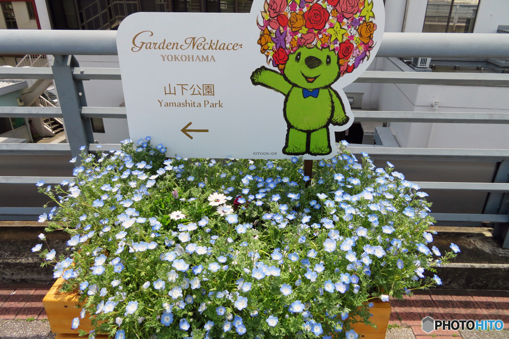 べァｰ君ご案内致します。