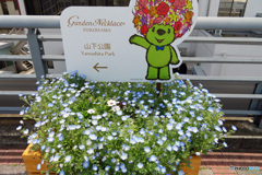 べァｰ君ご案内致します。