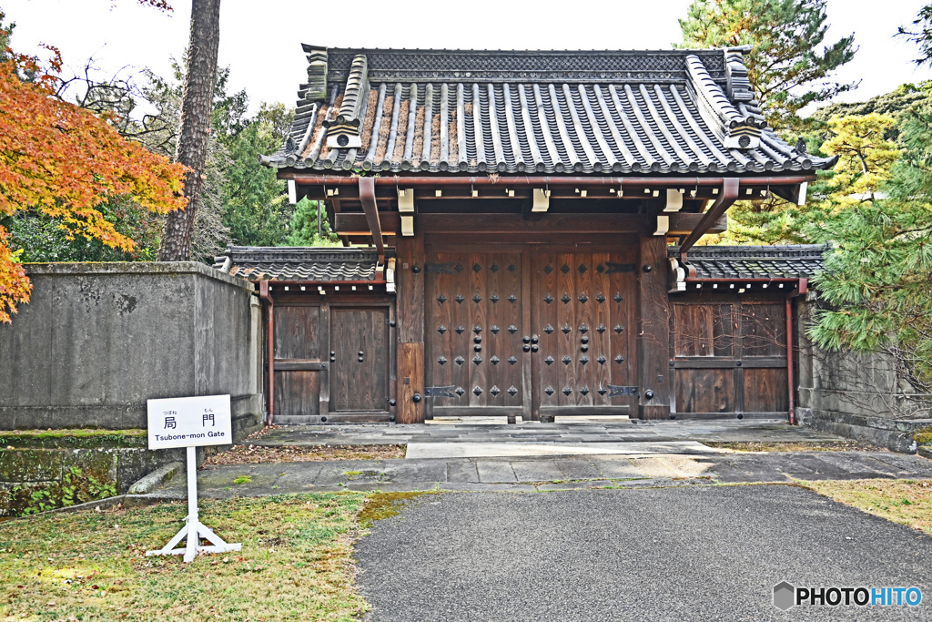 秋の皇居公開