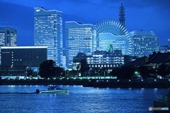 ブルーライトヨコハマ