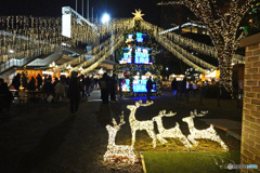 ヨコハマ ブラブラ