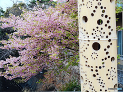 伊東市内スナップ