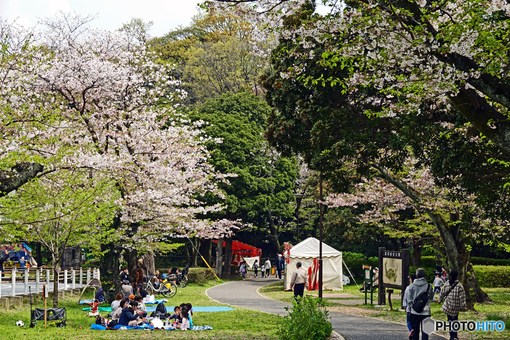 横浜市立富岡総合公園