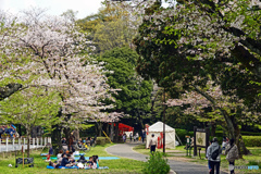 横浜市立富岡総合公園