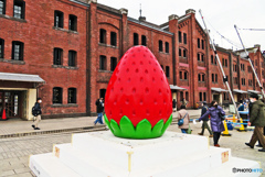 ヨコハマストロベリーフェスティバル2023