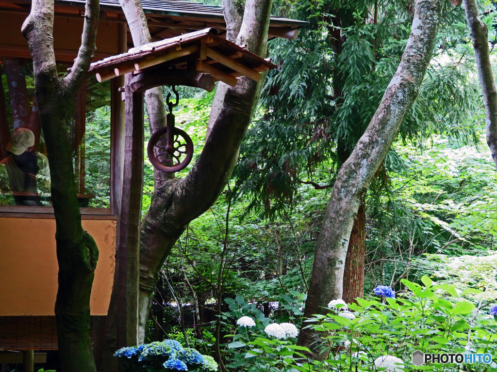 一条恵観山荘　庭園の部