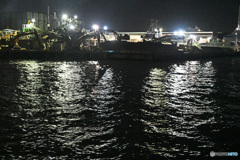 工場夜景　運河めぐり